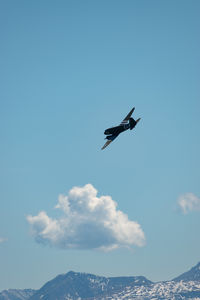 flying