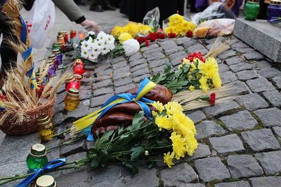 High angle view of various flowers on street