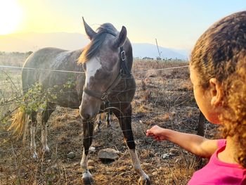 Girl looking at horse