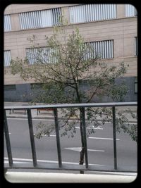 View of built structure with trees in background