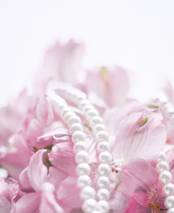 Close-up of wedding rings on white background