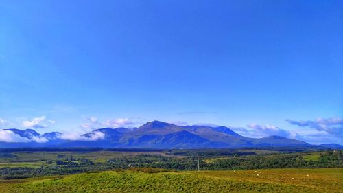 Scenic view of field against blue sky