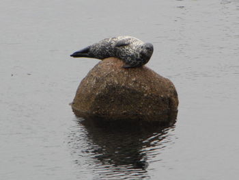 Close-up of water