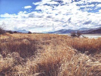Scenic view of field against sky