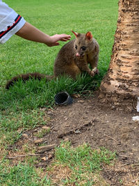 Full length of hand on field