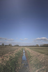 Scenic view of landscape against blue sky