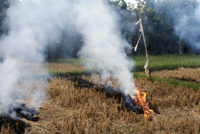 View of bonfire on field