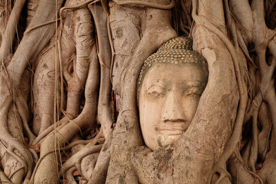 Statue of buddha