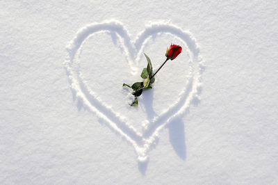 Heart shape with red rose in snow