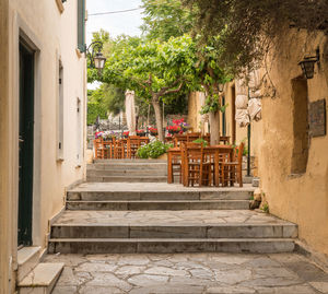 Potted plants on staircase outside building