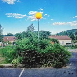 View of houses and trees against blue sky