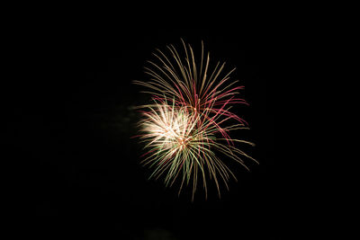 Low angle view of firework display against sky at night