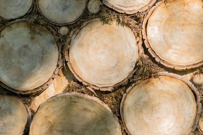 Background of dry trees logs