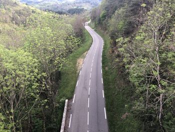 Empty road amidst trees in forest