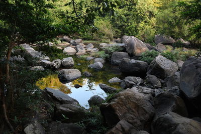 Stream flowing through rocks in forest