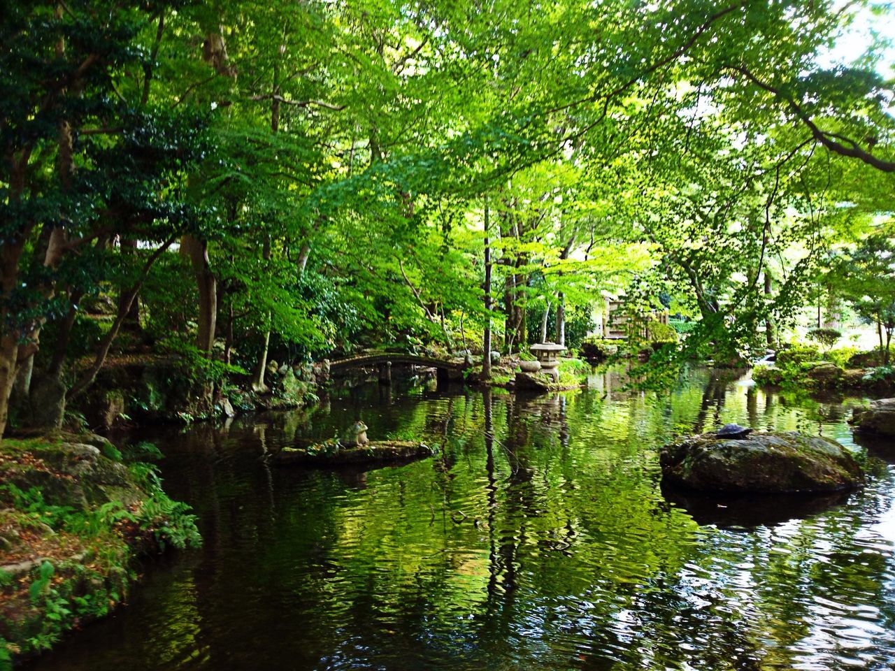 SCENIC VIEW OF LAKE