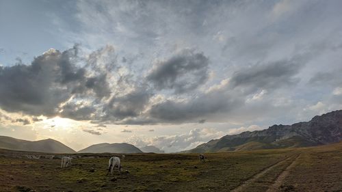 Scenic view of landscape against sky