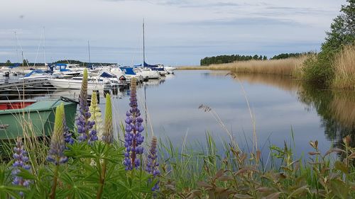 Scenic view of lake against sky