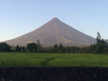 Scenic view of landscape