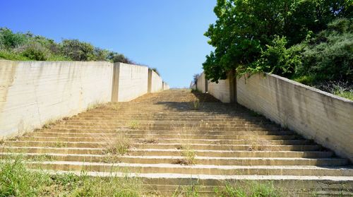 View of stairs along trees