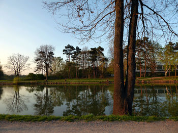 Reflection of trees in lake against sky