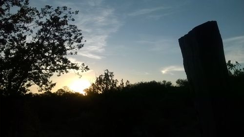 Low angle view of silhouette trees against sky during sunset