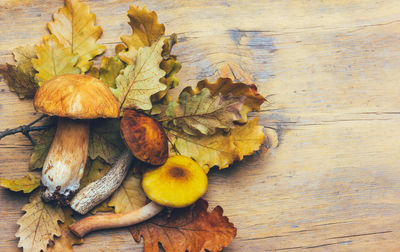 Close-up of mushrooms on wooden table