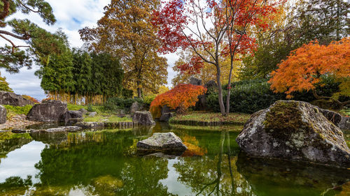 Scenic view of lake by trees during autumn