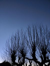 Low angle view of silhouette bare trees against clear blue sky