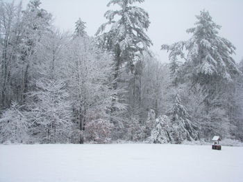 Trees on snow covered field against sky