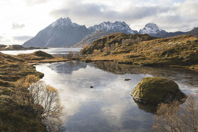 Calm lake in autumn in the lofoten islands with snowy mountains