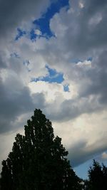 Low angle view of tree against cloudy sky