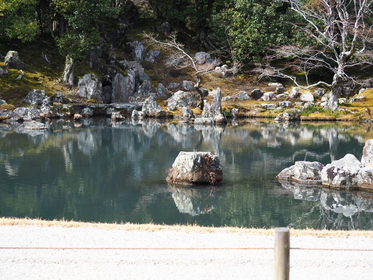 rock - object, nature, water, beauty in nature, no people, tranquil scene, outdoors, day, tree, scenics, animals in the wild, animal themes