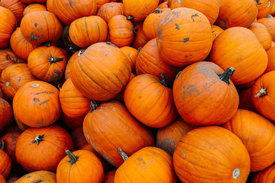 High angle view of pumpkins for sale at market stall