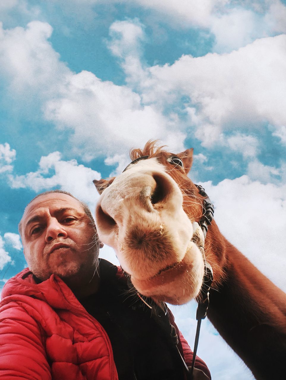 domestic animals, mammal, domestic, pets, cloud - sky, one animal, real people, low angle view, sky, men, vertebrate, leisure activity, lifestyles, day, portrait, livestock, mature men, people, mature adult, outdoors, pet owner