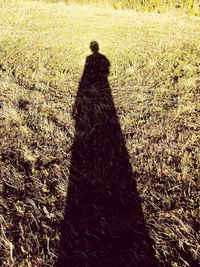 High angle view of man standing on field