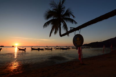 Silhouette palm trees on beach against sky during sunset