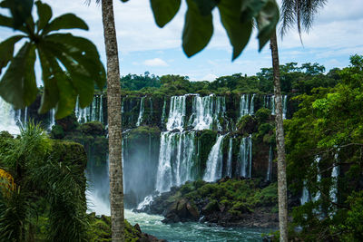 Iguazú falls is an incredible place in the nature. look how beautiful is nature without man