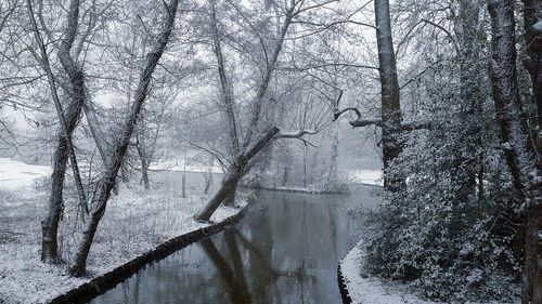 Scenic view of river in forest during winter