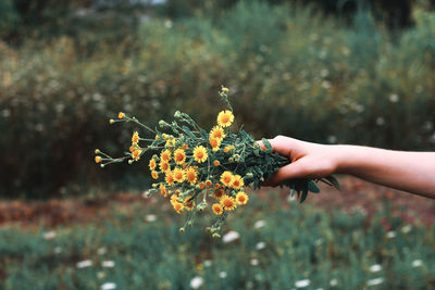 Cropped hand of woman holding flowers