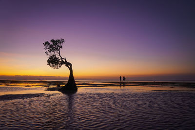 Silhouette trees on beach against sky during sunset