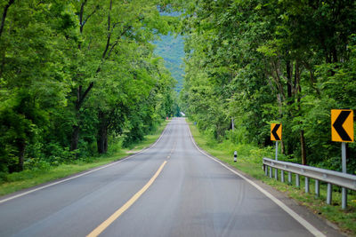 Empty road amidst trees