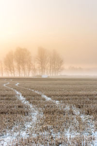 Scenic view of snowy field against sky during sunset