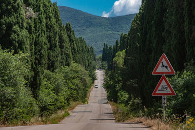 Road amidst plants and trees against mountains