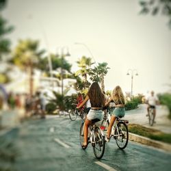 Rear view of woman riding bicycle on road