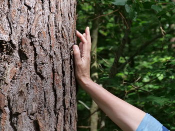 Midsection of person against tree trunk