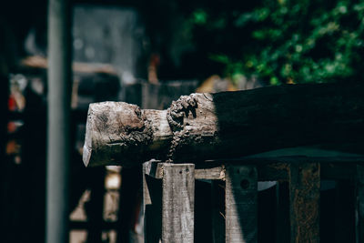 Close-up of old wooden fence against trees