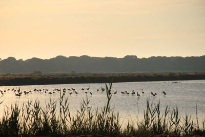 Scenic view of lake against sky during sunset