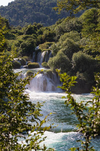 Scenic view of waterfall in forest