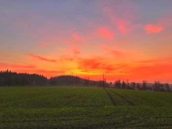 Scenic view of field against sky during sunset